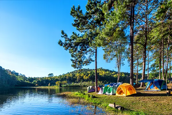 De nouvelles activités cette année au camping Modèle Bellini